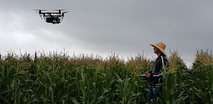 54% dos agricultores pretendem investir em drones neste ano