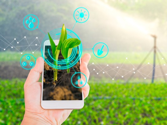 O futuro da agricultura brasileira é digital e mais do que promissor